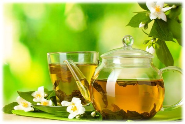 A glass teapot and cup of freshly brewed green tea